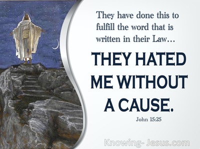 John 15:25 They Hated Me Without Cause (navy)